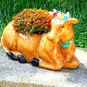 ❤️ New Pioneer Woman Brown Cow Planter